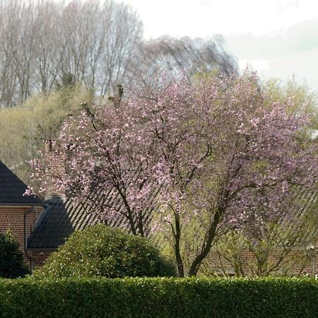 De Rankhove Bed & Breakfast Herne Eksteriør bilde